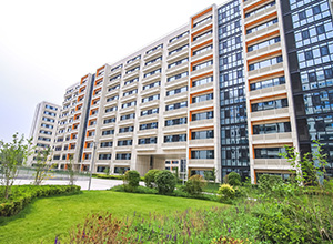 壹定发(中国游)最新官方网站